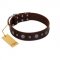 "Pure Sensation" Exclusive FDT Artisan Brown Leather Cane Corso Collar with Fancy Brooches and Studs