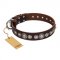 "Step and Sparkle" FDT Artisan Glamorous Studded Brown Leather Cane Corso Collar