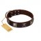 "Nut-Brown Finery" Embellished FDT Artisan Brown Leather Cane Corso Collar with Chrome Plated Crossbones and Plates