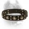 Fancy Design Studded Leather Cane Corso Collar