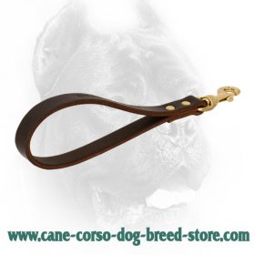 Short Leather Dog Leash for Various Activities