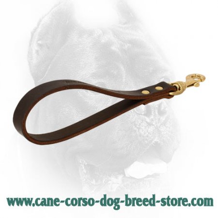 Short Leather Dog Leash for Various Activities