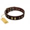 "Blinking Illusion" FDT Artisan Brown Leather Cane Corso Collar with Old Bronze-like Studs and Plates