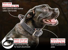 Leather Hardwearing Durable Dog Collar for CANE CORSO