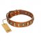 "Happy Hound" FDT Artisan Tan Leather Cane Corso Collar with Elegant Decorations