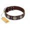 "Imperial Legate" FDT Artisan Brown Leather Cane Corso Collar with Big Round Plates