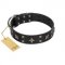 "Star Excitement" Modern FDT Artisan Black Leather Cane Corso Collar with Studs and Stars