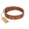 "Egyptian Gifts" Handmade FDT Artisan Tan Leather Cane Corso Collar with Chrome-plated Pyramids