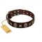 "Captain Hook" FDT Artisan Brown Leather Cane Corso Collar with Stars and Skulls