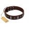 "War Chief" FDT Artisan Genuine Brown Leather Cane Corso Collar with Skulls and Plates