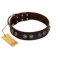 "King Arthur" FDT Artisan Brown Leather Cane Corso Collar with Spiky Plates