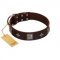 "Cold Star" Designer FDT Artisan Brown Leather Cane Corso Collar with Silver-Like Adornments