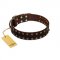 "To the Moon and Back" FDT Artisan Brown Leather Cane Corso Collar with Bronze-like Star Studs