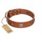 "Lucky Star" FDT Artisan Tan Leather Cane Corso Collar with Silver-Like Embellishments
