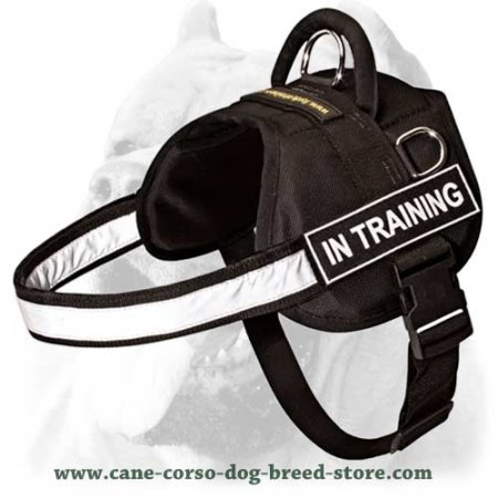 Multifunctional Nylon Cane Corso Harness