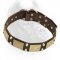 Best Decorated Leather Dog Collar-Plate & Pyramid Studded Cane Corso Breed Collar