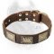 Luxury Leather Dog Collar for Cane Corso