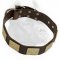 Outstanding Leather Dog Collar With Massive Handmade Brass Plates
