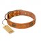 "Sun Beams" FDT Artisan Tan Leather Cane Corso Collar with Decorations