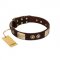 "Sense of Freedom" FDT Artisan Brown Leather Cane Corso Collar with Old Bronze-Plated Studs and Plates