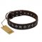 "Stars of Glory" FDT Artisan Brown Leather Cane Corso Collar for Comfortable Walking