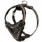 Unique Barbwire Painted Leather Dog Harness-Padded Fur Saver Cane Corso Harness
