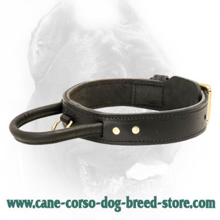 Leather Hardwearing Durable Dog Collar for CANE CORSO