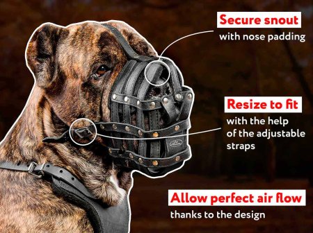 Everyday Lightweight Well Ventilated Cane Corso Muzzle