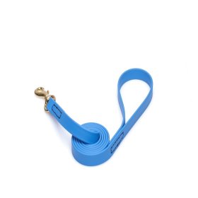Blue Waterproof Cane Corso Leash Made of Biothane