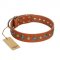 "Natural Beauty" FDT Artisan Tan Leather Cane Corso Collar with Shining Silver-like Studs