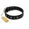 "Mr. Elegance" Designer FDT Artisan Black Leather Cane Corso Collar with Silver-Like Studs