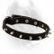 Beautiful Leather Dog Collar With Attractive Spikes-Field Dog Equipment