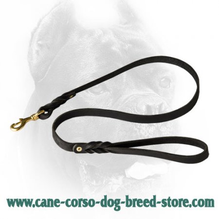 Handcrafted leather dog leash for walking and tracking