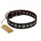 "Victory Ode" FDT Artisan Brown Leather Cane Corso Collar with Silver-like Plated Decorations