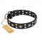 "Refined Essence" FDT Artisan Black Leather Cane Corso Collar with Silvery Studs