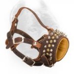 Royal Spiked and Studded Leather Cane Corso Muzzle for Walking