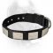 Nylon Dog Collar For Large and Medium Breeds With Massive Plates