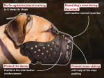 "Dondi" Leather Cane Corso Muzzle - Pro Training