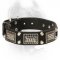 Gorgeous Leather Cane Corso Collar with Vintage Plates and Studs