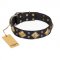 "Fancy-Schmancy" FDT Artisan Studded Leather Cane Corso Collar