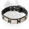 VIntage Collar for Dress Conscious Cane Corsos - Pyramids & Plates Studded Leather Collar
