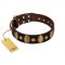 "Retro Pusle" FDT Artisan Brown Leather Cane Corso Collar with Old Bronze-like Studs and Oval Brooches