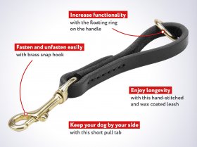 Pull Tab Leather Cane Corso Leash