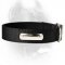 Strongest 2 Ply Nylon Dog Collar w/h name tag/Metal Buckle