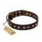 "Bronze Sheen" FDT Artisan Leather Cane Corso Collar with Brass-Plated Studs