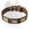 Fashionable Leather Dog Collar with Vintage Plates for Cane Corso