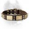 Gorgeous Custom Leather Spiked Collar - Handcrafted Cane Corso Collar