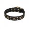 'Jolly Rojer' FDT Artisan Cane Corso Leather Dog Collar with Pirate Skulls and Studs