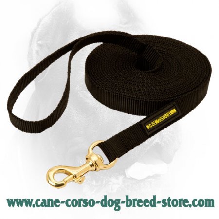 Practical Nylon Cane Corso Leash for Tracking and Walking