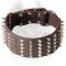 3 Inch Leather Cane Corso Collar with Spikes and Studs